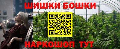 скорость Дубна