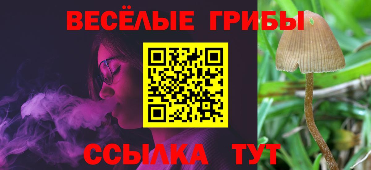 Псилоцибиновые грибы мухоморы Кумертау